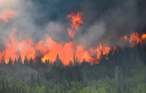 Canadian Association of Tour Operators addresses impact of wildfires in Western Canada on tourism industry and communities.